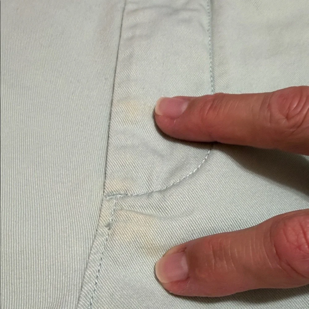 J. Crew Men's Pastel Green Flat-Front Cotton Chino 9” Shorts, Size 36.